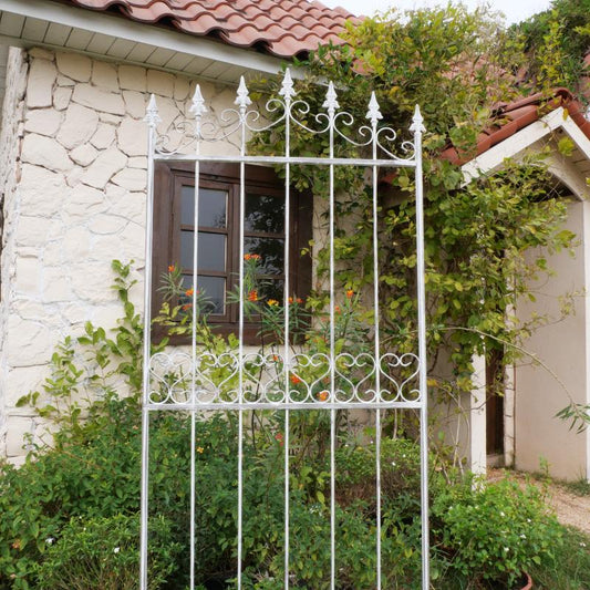 French iron climbing vine flower rack old screen partition outdoor courtyard garden decoration rose climbing rack