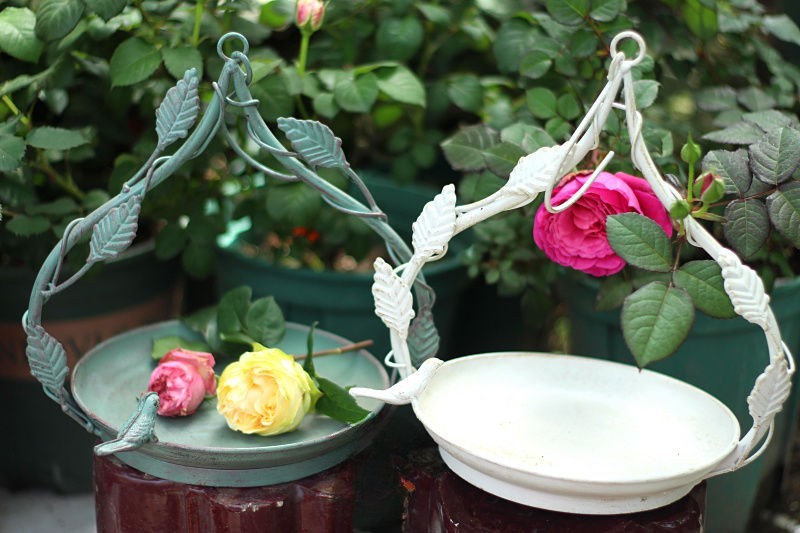Old iron leaf vine bird hanging bird feeder hanging bird feeding tray succulent hanging basket pot garden courtyard decoration