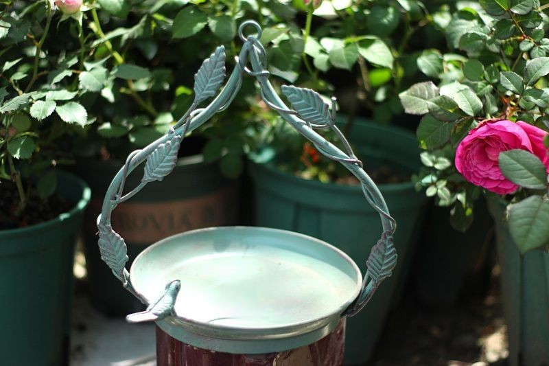 Old iron leaf vine bird hanging bird feeder hanging bird feeding tray succulent hanging basket pot garden courtyard decoration