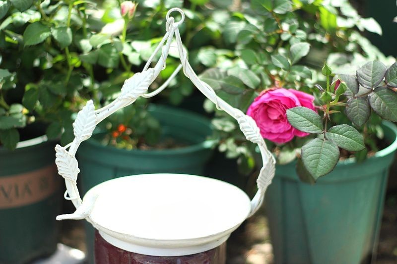 Old iron leaf vine bird hanging bird feeder hanging bird feeding tray succulent hanging basket pot garden courtyard decoration