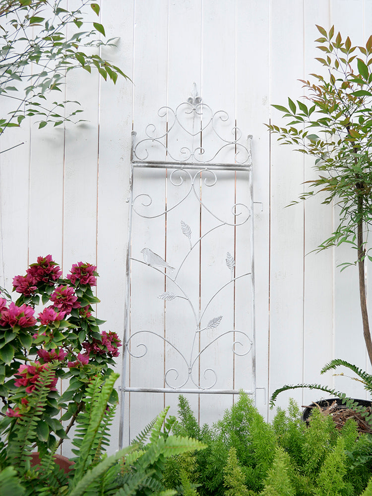 Garden climbing vine flower rack iron ground plug bracket old heightened balcony partition rose clematis narrow climbing rack