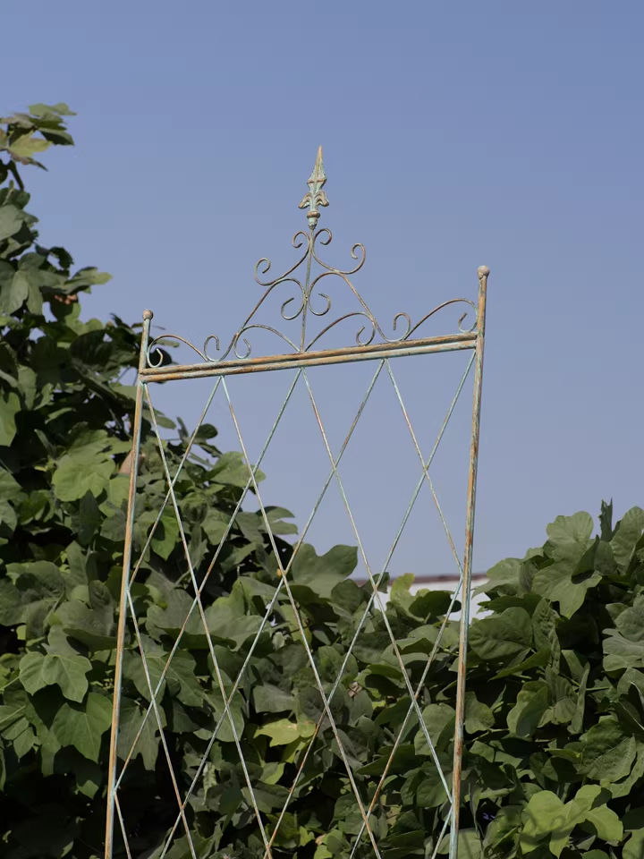 Iron flower stand climbing rose rose clematis plant old garden balcony partition grid climbing bracket