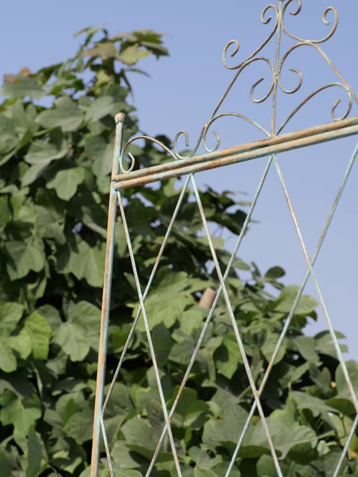 Iron flower stand climbing rose rose clematis plant old garden balcony partition grid climbing bracket