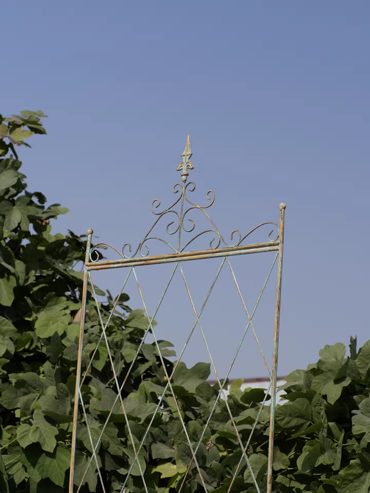 Iron flower stand climbing rose rose clematis plant old garden balcony partition grid climbing bracket