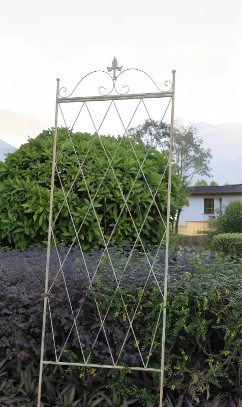 Iron flower stand climbing rose rose clematis plant old garden balcony partition grid climbing bracket