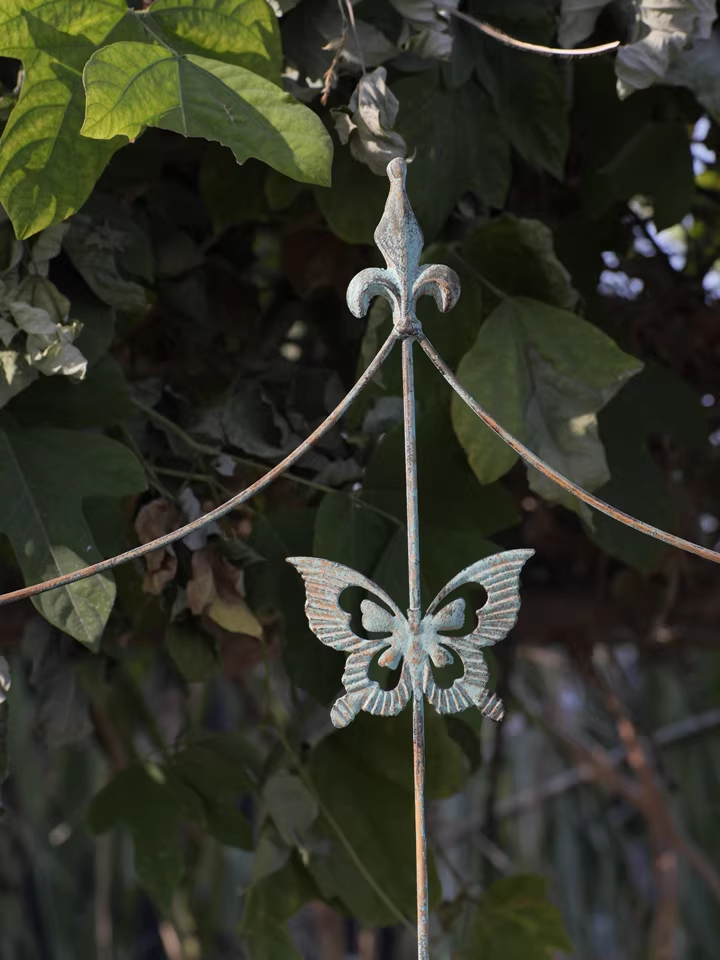 Iron flower stand climbing rose rose clematis plant old garden balcony partition grid climbing bracket