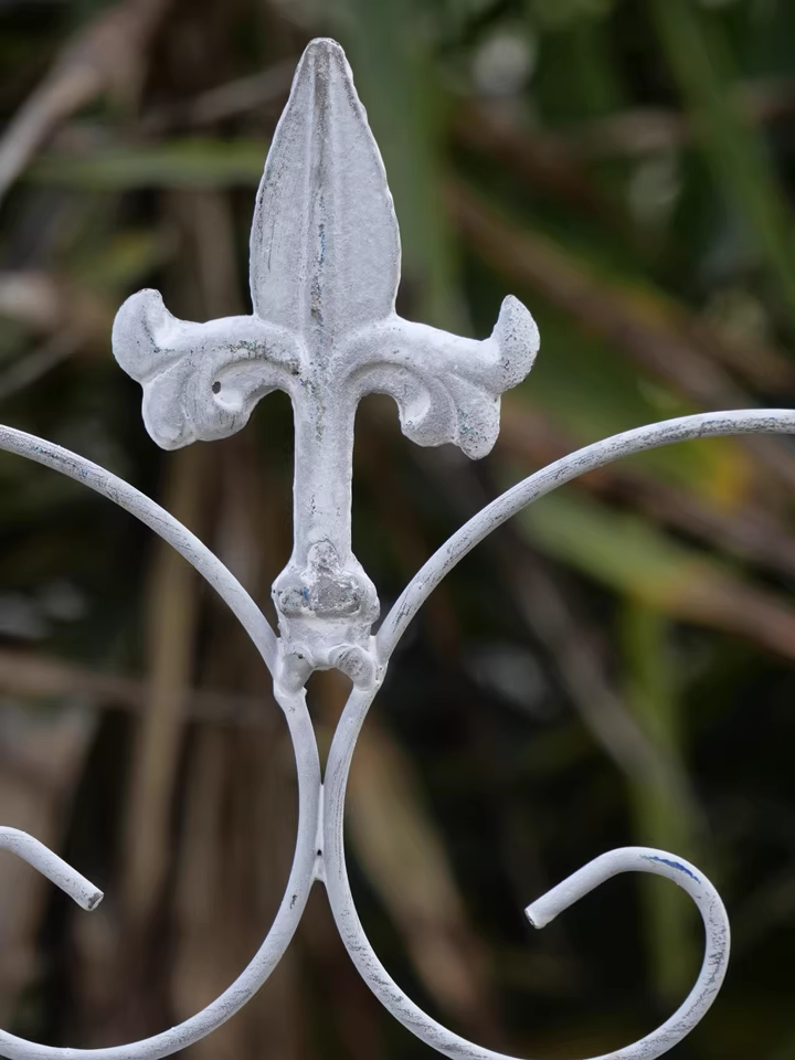 Iron flower stand climbing rose rose clematis plant old garden balcony partition grid climbing bracket