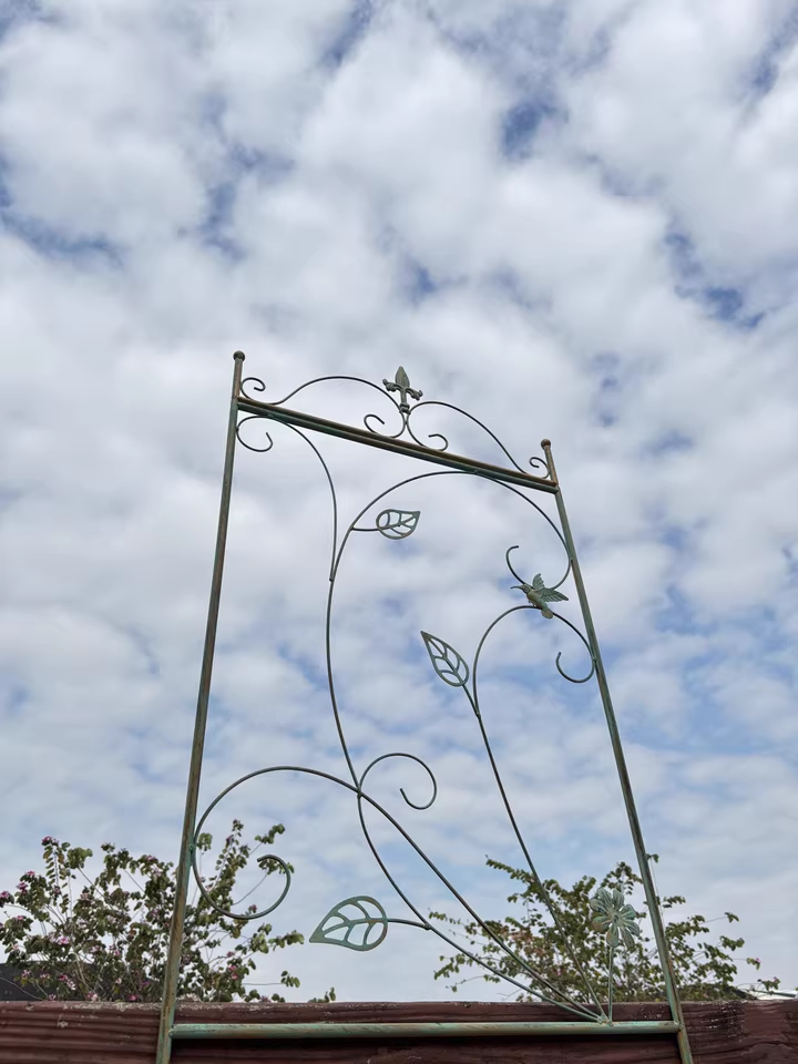 Garden climbing vine flower rack iron ground plug bracket old heightened balcony partition rose clematis narrow climbing rack