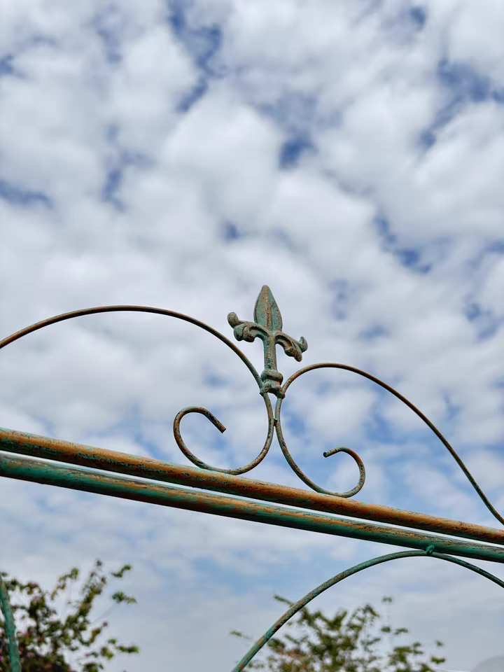 Garden climbing vine flower rack iron ground plug bracket old heightened balcony partition rose clematis narrow climbing rack