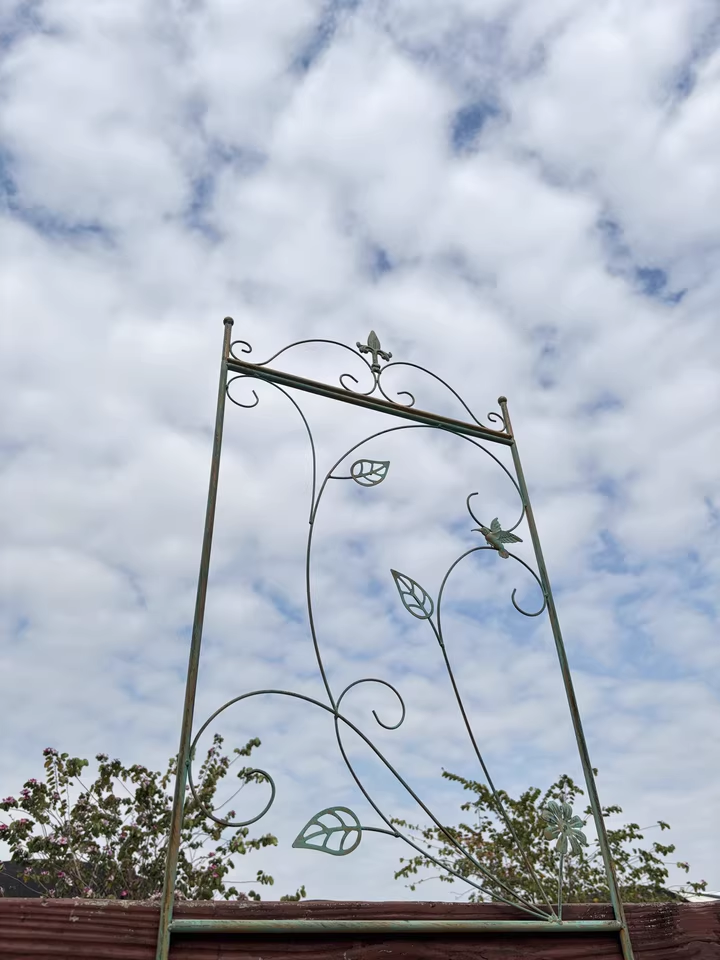 Garden climbing vine flower rack iron ground plug bracket old heightened balcony partition rose clematis narrow climbing rack