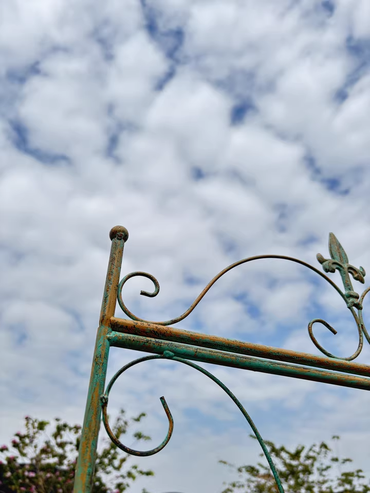 Garden climbing vine flower rack iron ground plug bracket old heightened balcony partition rose clematis narrow climbing rack