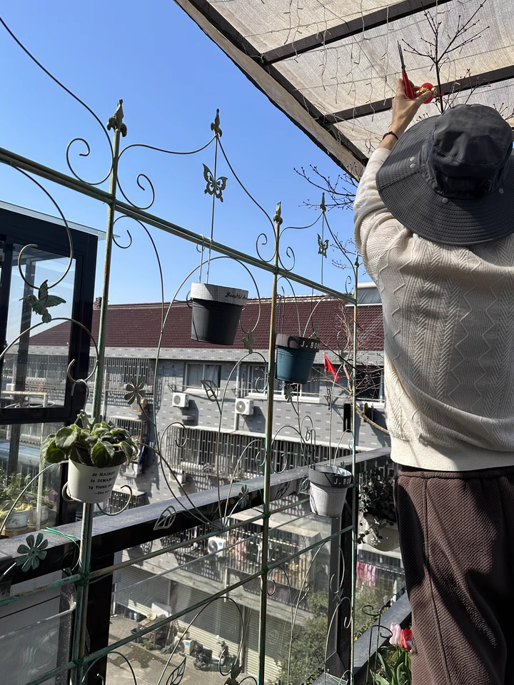 Garden climbing vine flower rack iron ground plug bracket old heightened balcony partition rose clematis narrow climbing rack