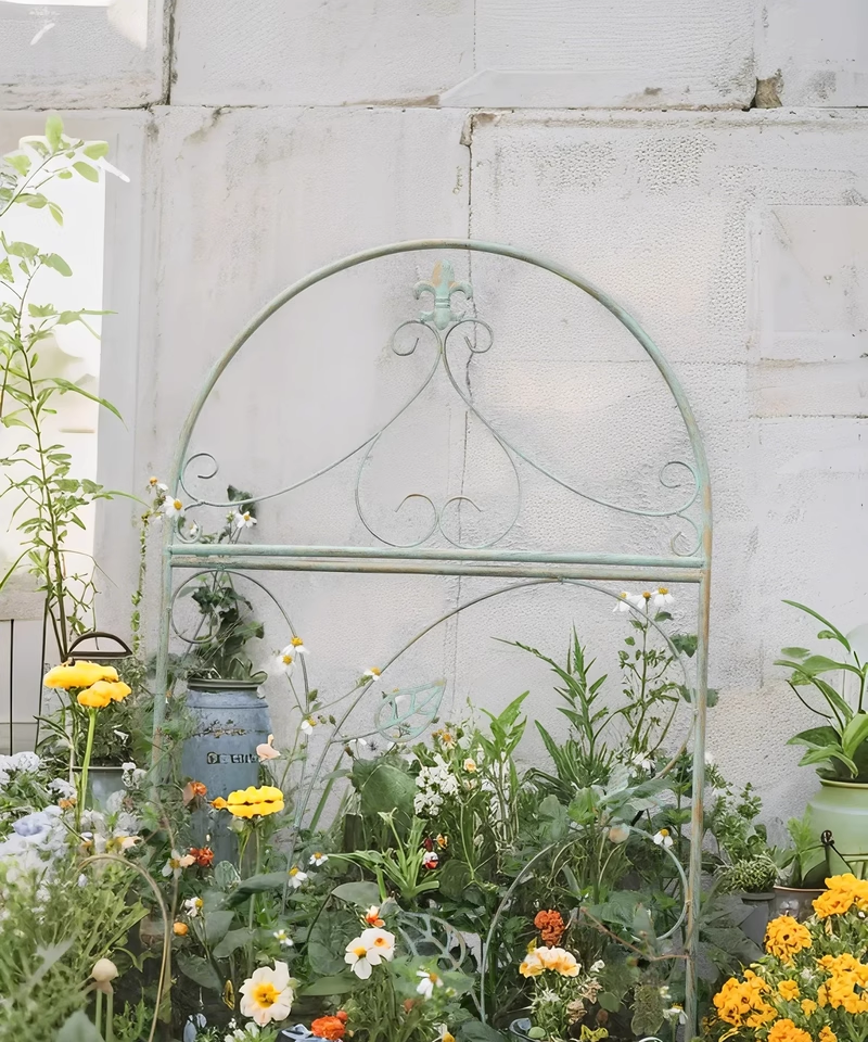 Garden climbing vine flower rack iron ground plug bracket old heightened balcony partition rose clematis narrow climbing rack