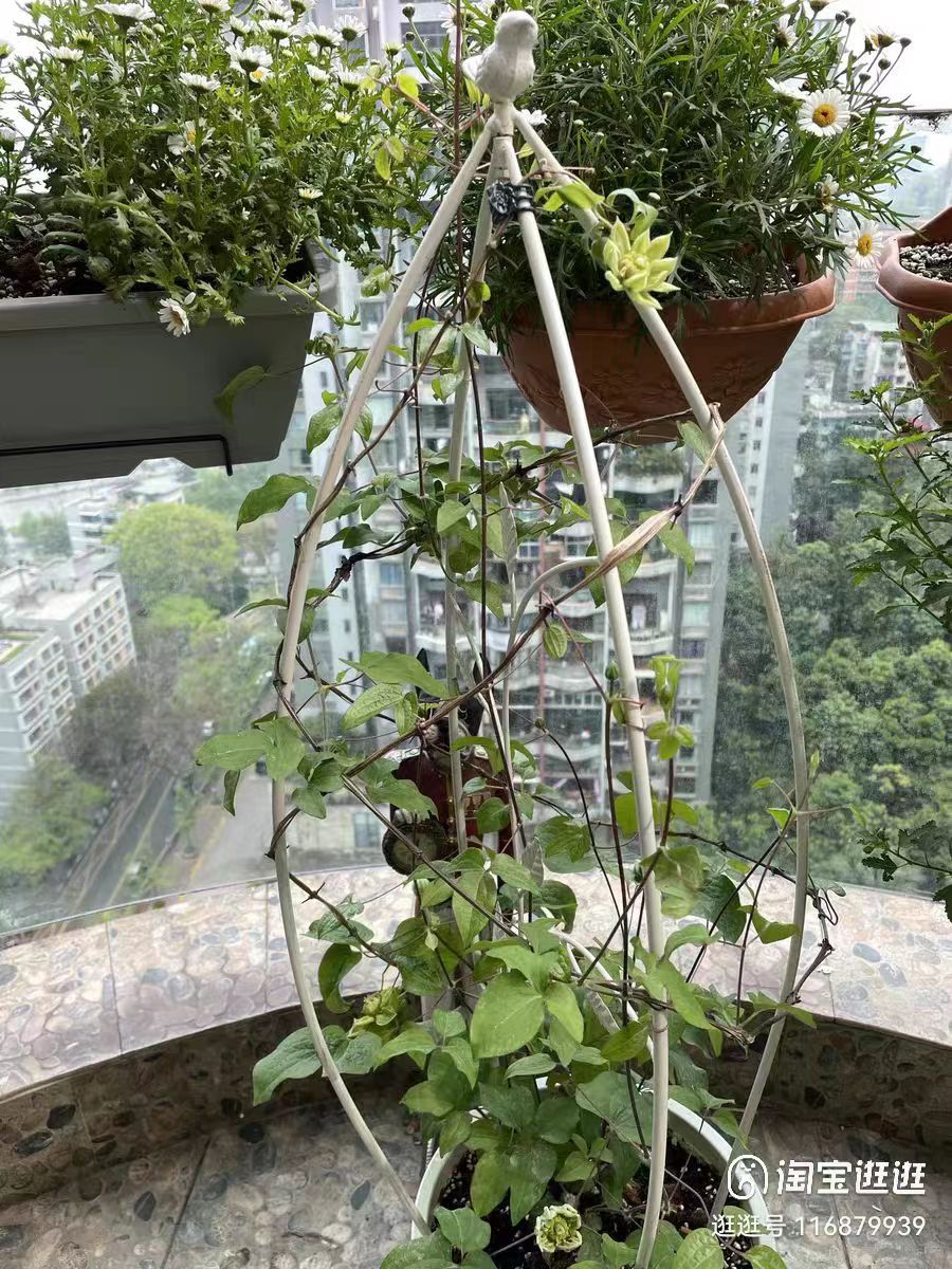 Iron Garden Metal collapsible Plant Climbing Support Stake Flower Climbing Sticks Garden Trellis For Climbing Growth Plants