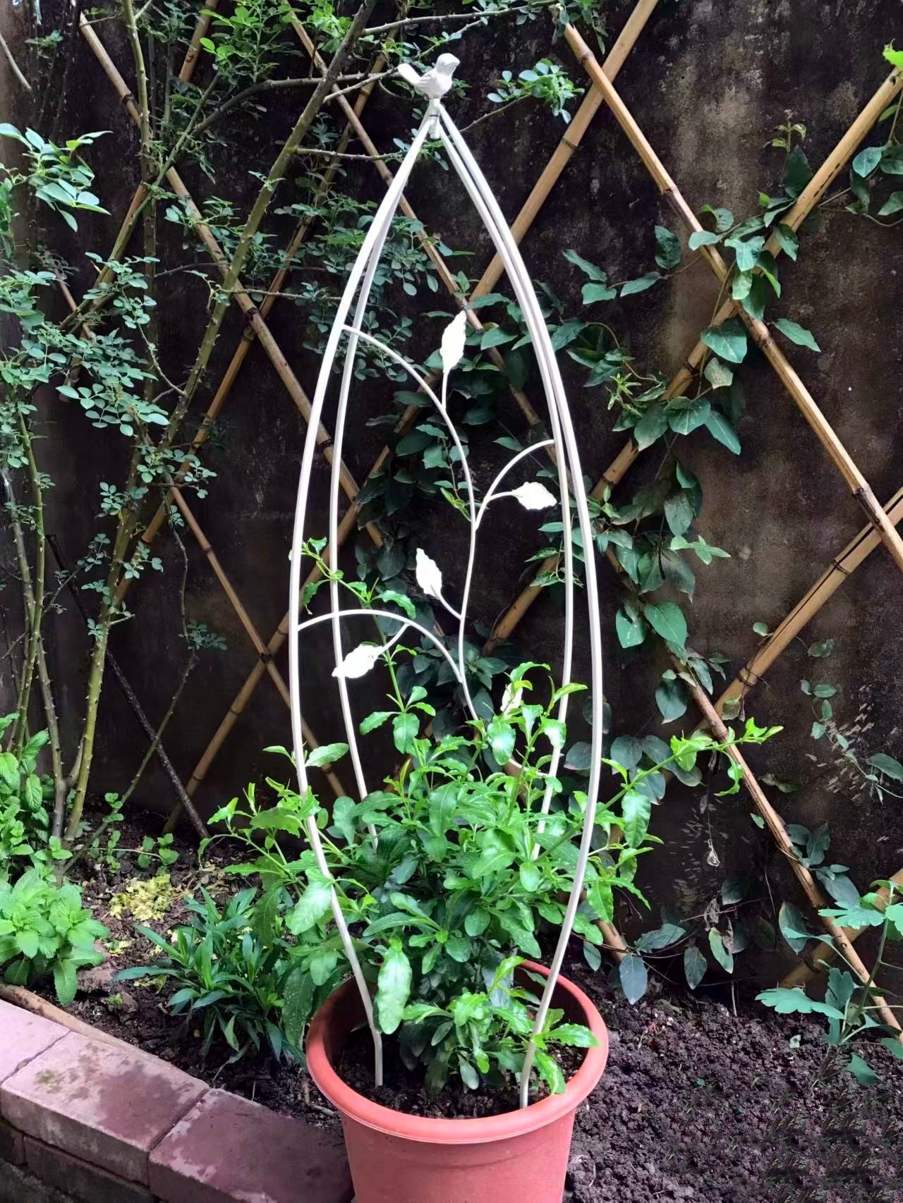 Iron Garden Metal collapsible Plant Climbing Support Stake Flower Climbing Sticks Garden Trellis For Climbing Growth Plants