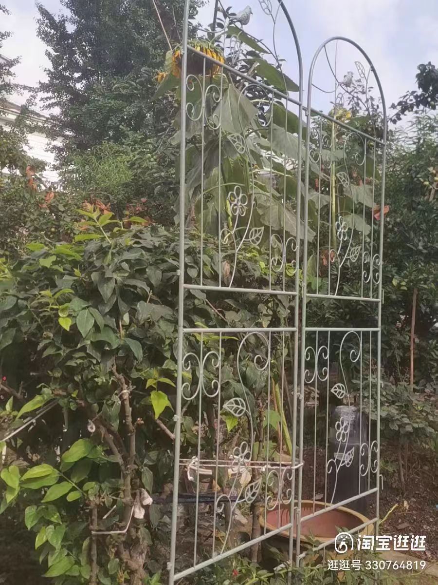 1.6m-2.1m floor-standing climbing frame with base European style iron art old screen flower curtain rose iron clematis climbing frame