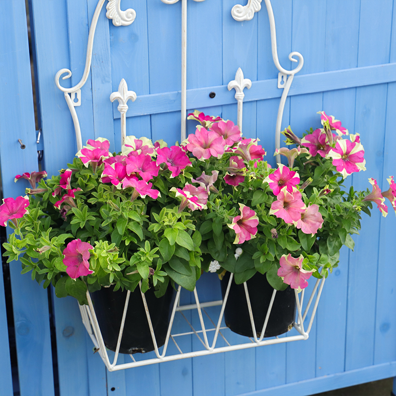 Retro wall-mounted flower basket metal wrought iron shelf outdoor garden balcony ornaments wall-mounted flower pot flower trough