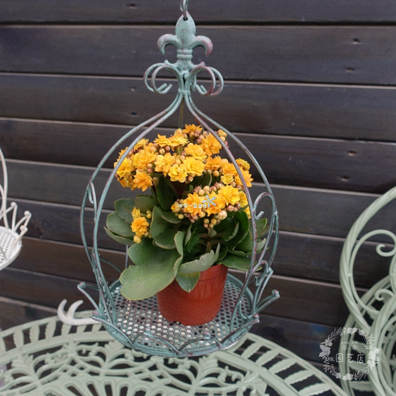 Iron Birdcage Hanging Planter, Metal Wire Flower Pot Basket Wrought Iron Plant Stands for Plants