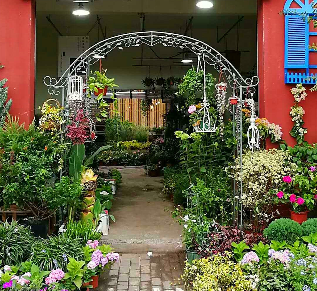 Metal Garden Arbor Arch Stand for Wedding Party Elegant Decorations & Garden Climbing Plants iron arch large garden arch