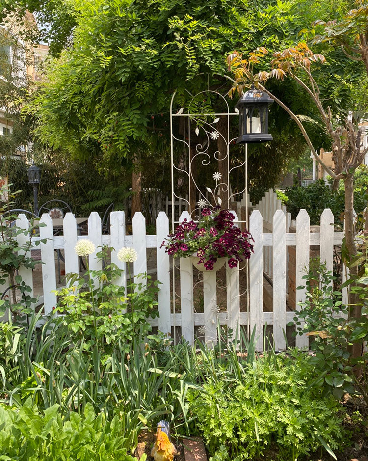 Rustic Plant Garden Trellis Metal Wire for Outdoor Climbing Flowers and Vines trellis for climbing plants