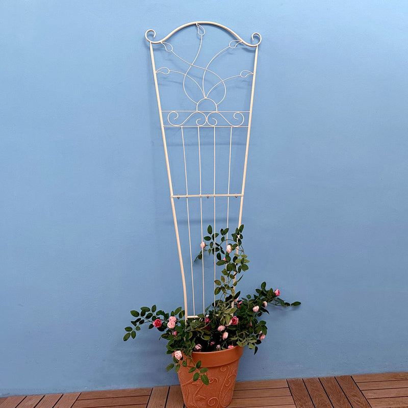 Factory Supply Vine Plant Cage Metal Climbing Vine Plant Rack Support Frame Stake Bracket Support PLant Trellis