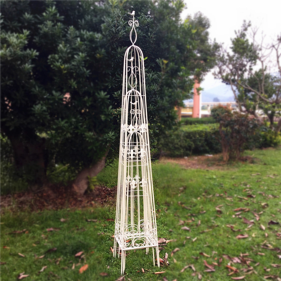 Wholesale China Factory Garden Wrought Iron Metal garden obelisk trellis for climbing plants outdoor set 3 plant trellis