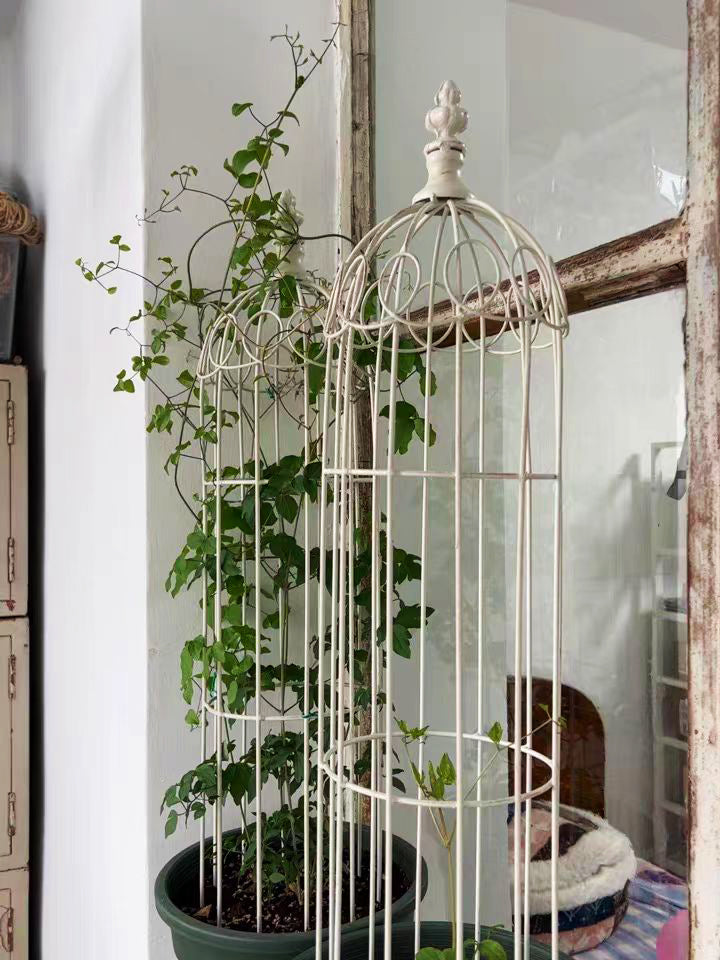 Flower pot Climbing Support Trellis Metal Plant Support Rustproof Climbing Plants Indoor Outdoor Garden Trellis