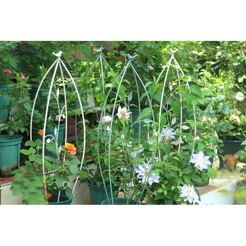 Iron Garden Metal collapsible Plant Climbing Support Stake Flower Climbing Sticks Garden Trellis For Climbing Growth Plants