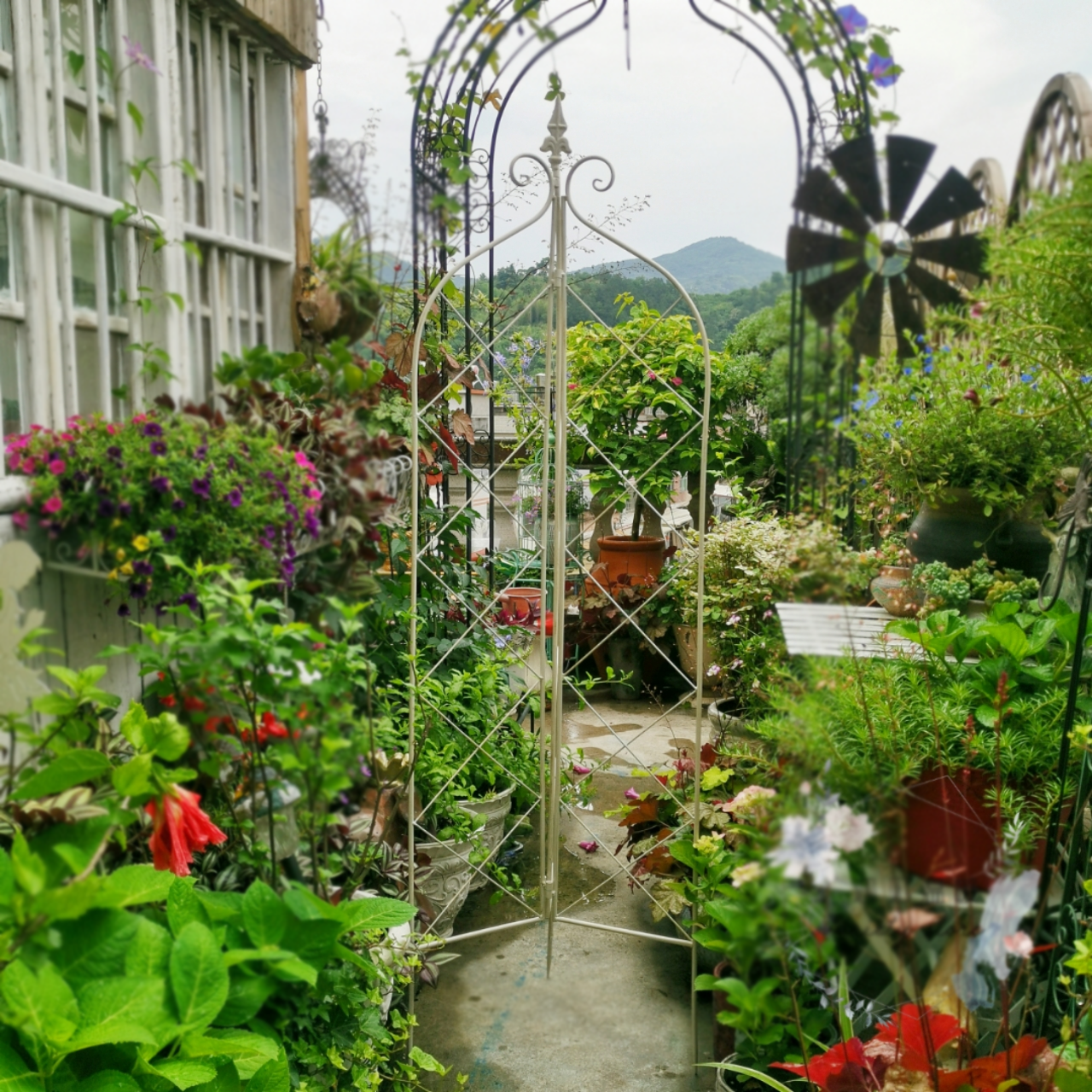 Garden Trellis Climbing Plants, Outdoor Indoor Potted Plant Support Round Obelisk Garden Trellis for Climbing Vine