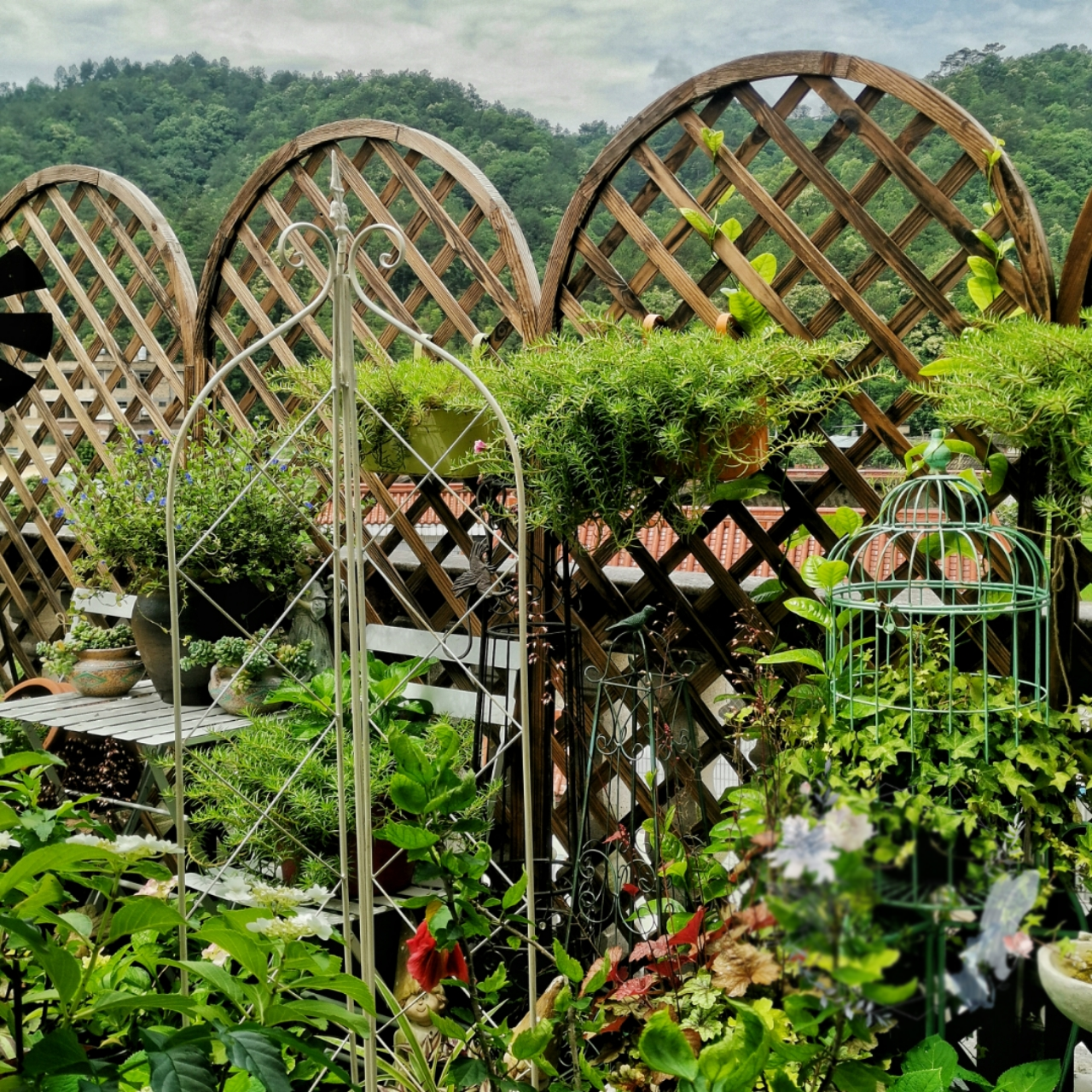 Garden Trellis Climbing Plants, Outdoor Indoor Potted Plant Support Round Obelisk Garden Trellis for Climbing Vine