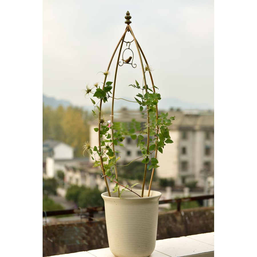 Bird pendant type iron climbing frame balcony flower rack indoor clematis plant climbing frame floor flower pot plant rack