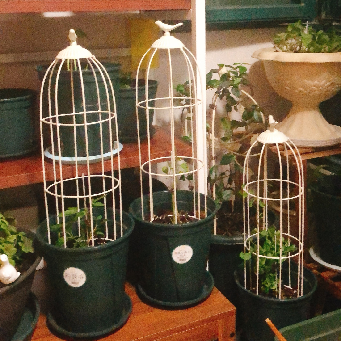 Garden Trellis for Climbing Plants Outdoor Plant Stand Garden Decoration