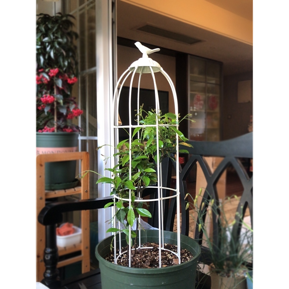 Garden Trellis for Climbing Plants Outdoor Plant Stand Garden Decoration