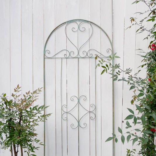 Garden climbing trellis, iron screen, retro, old rose, plant, balcony, outdoor courtyard, garden climbing trellis