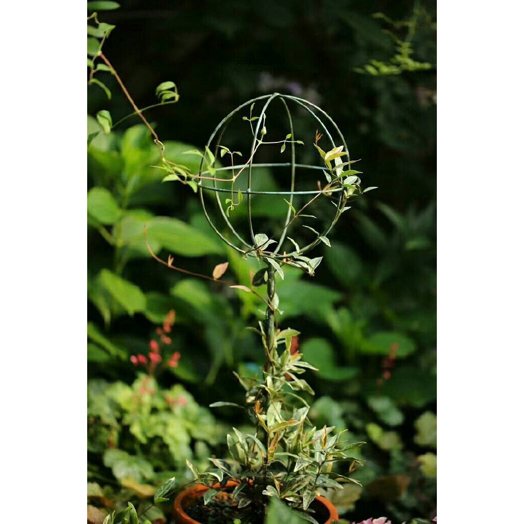 Iron Garden Trellis Metal Plant Support Stake Flower Climbing Sticks Heart Round Shaped Garden Trellis For Climbing Plants Metal