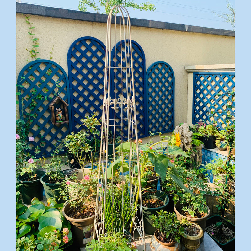 Wholesale China Factory Garden Wrought Iron Metal garden obelisk trellis for climbing plants outdoor set 3 plant trellis