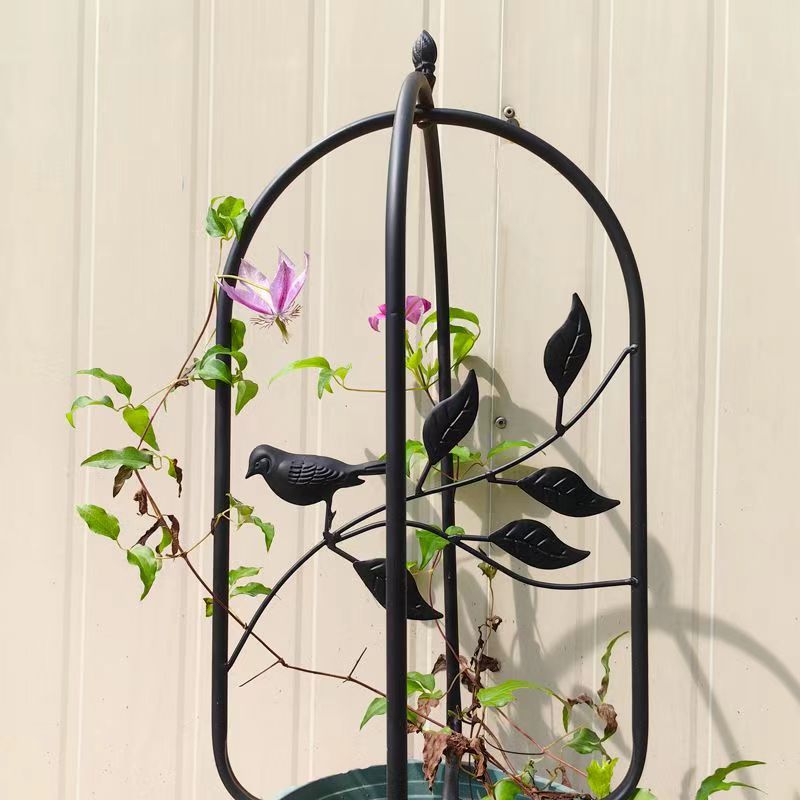 Metal Garden Frame for Climbing Vine Indoor Outdoor Potted Plant Support for Rose Tomato Pea Ivy Cucumbers,Black