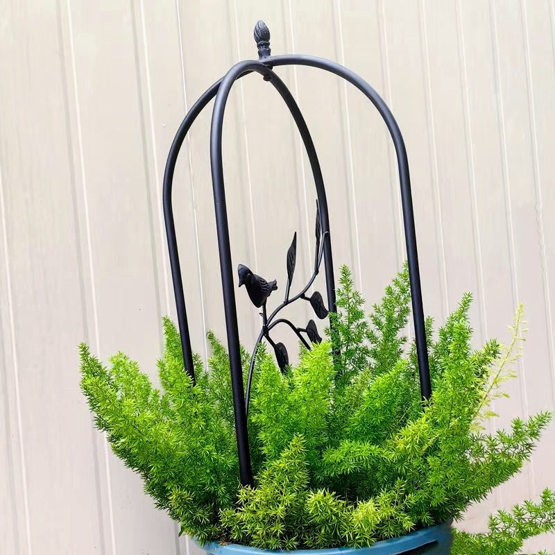 Metal Garden Frame for Climbing Vine Indoor Outdoor Potted Plant Support for Rose Tomato Pea Ivy Cucumbers,Black