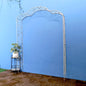 Easily Assembled metal garden Arch Arbor for Lawn Backyard Patio Party Trellis for Various Climbing Plants Roses Vines