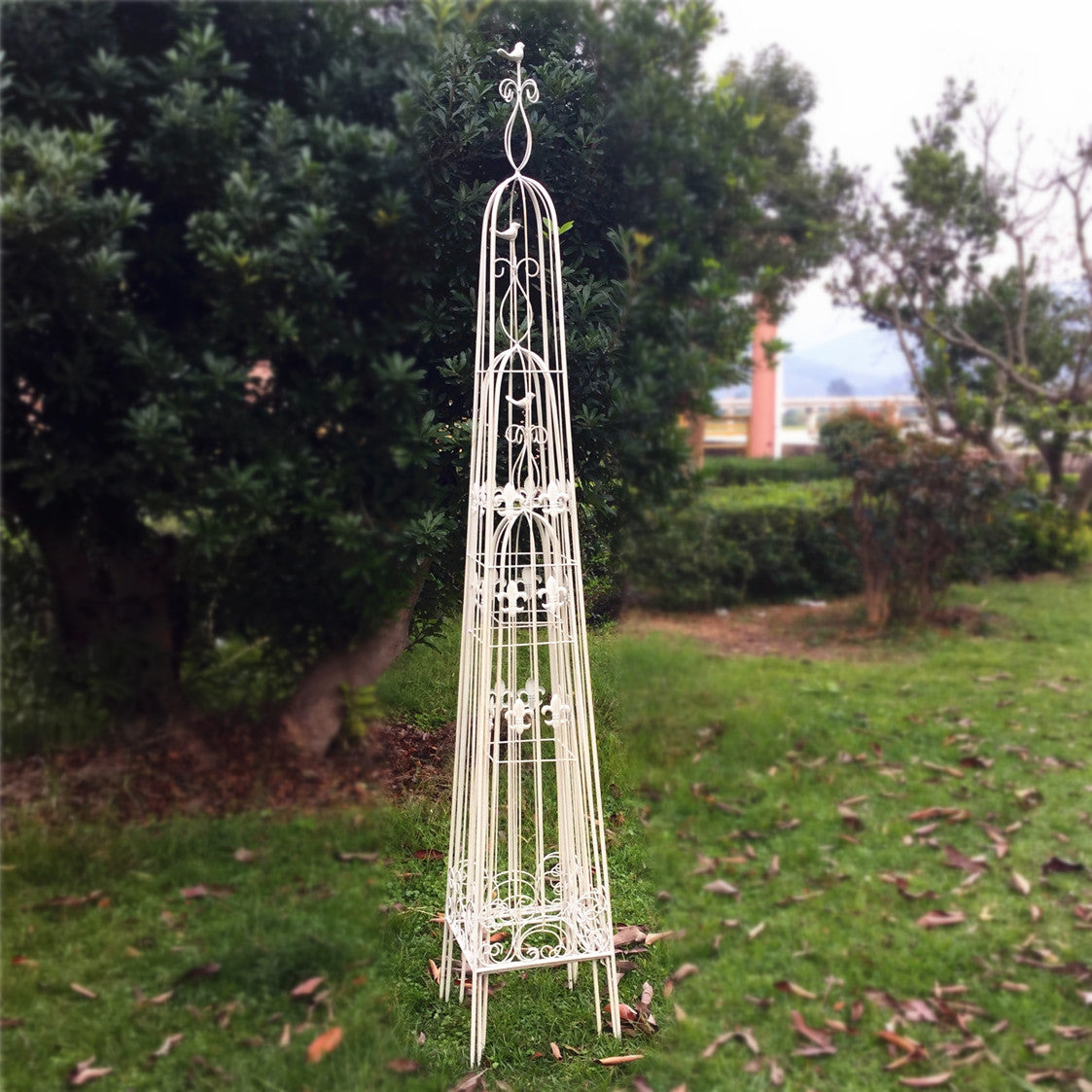 Wholesale China Factory Garden Wrought Iron Metal garden obelisk trellis for climbing plants outdoor set 3 plant trellis