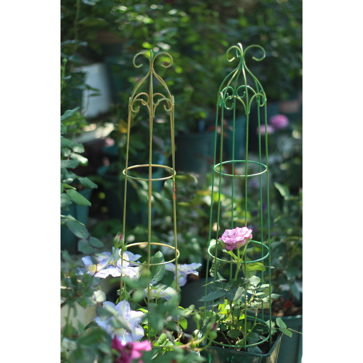 2 color set European retro old climbing rack floor flower pot plant climbing rack, clematis rose climbing rack