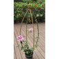 Bird pendant type iron climbing frame balcony flower rack indoor clematis plant climbing frame floor flower pot plant rack