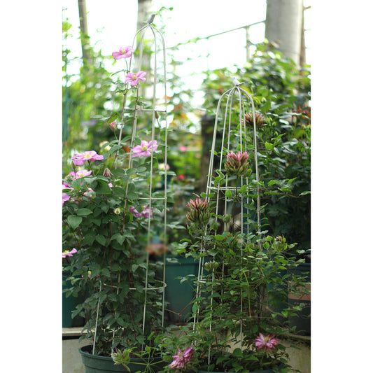 Garden Trellis Climbing Plants, Outdoor Indoor Potted Plant Support Round Obelisk Garden Trellis for Climbing Vine