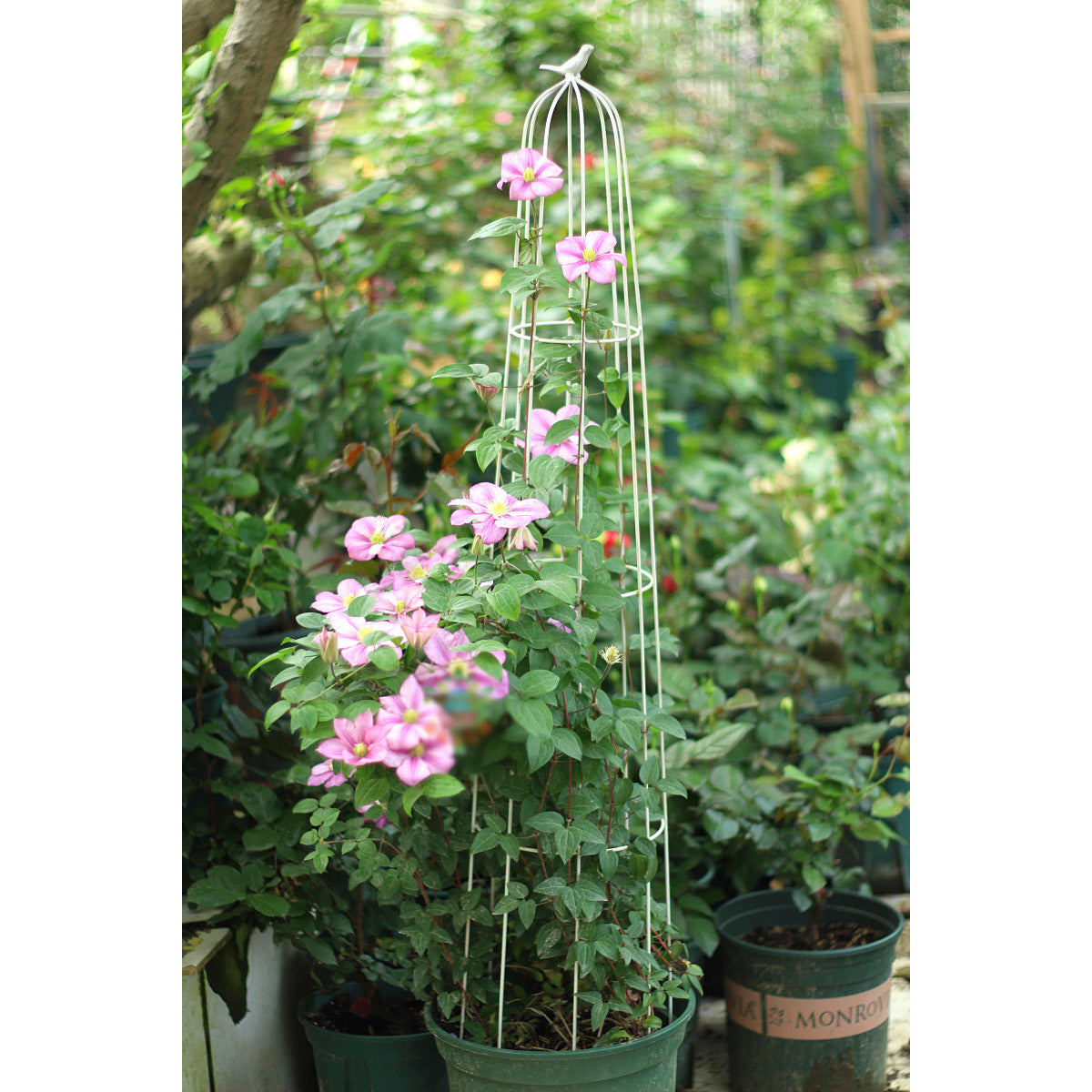 Garden Trellis Climbing Plants, Outdoor Indoor Potted Plant Support Round Obelisk Garden Trellis for Climbing Vine