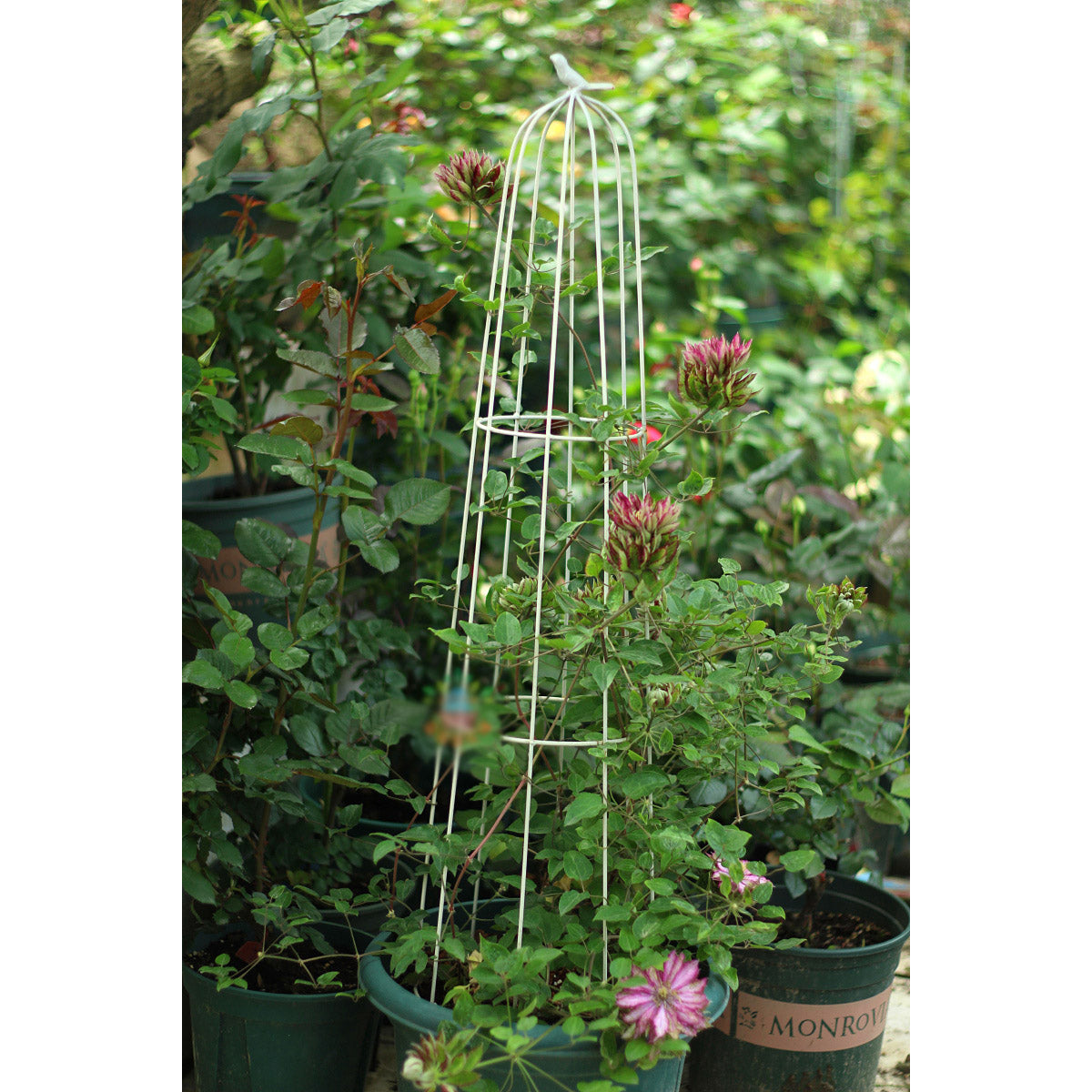 Garden Trellis Climbing Plants, Outdoor Indoor Potted Plant Support Round Obelisk Garden Trellis for Climbing Vine