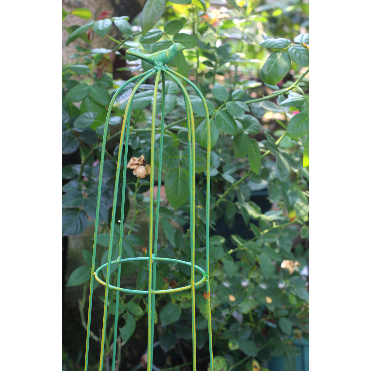 Garden Trellis Climbing Plants, Outdoor Indoor Potted Plant Support Round Obelisk Garden Trellis for Climbing Vine