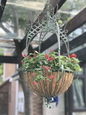 Metal Hanging Planter Basket with Round Wire Plant Holder with Chain Decorative Flower Pots Hanger for Garden metal flower stand